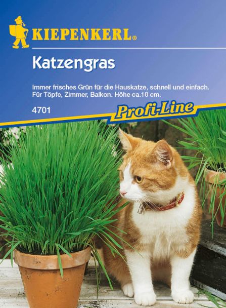 Kleintiermischung 'Katzengras'