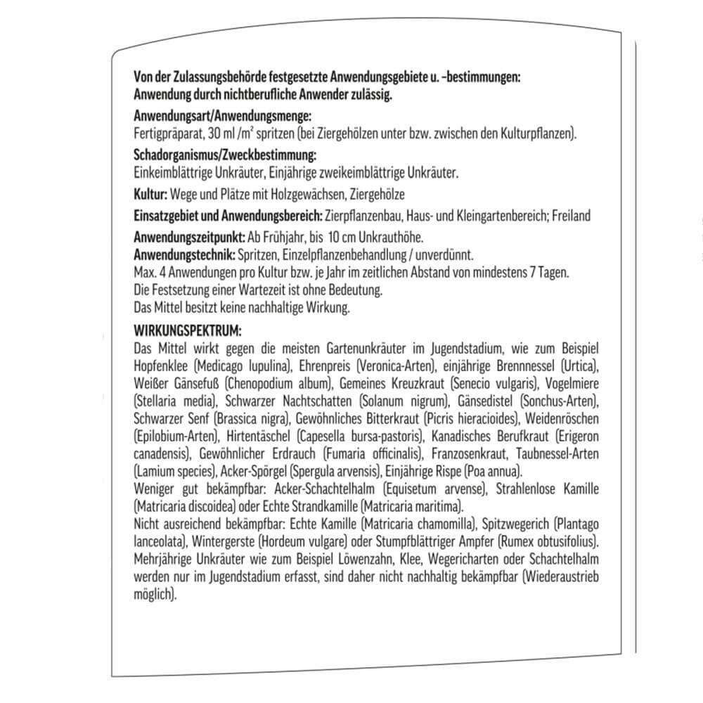 wachstum eibe Heimische Eibe