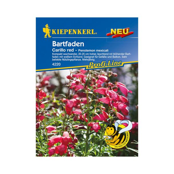 Bartfaden 'Carillo Red'