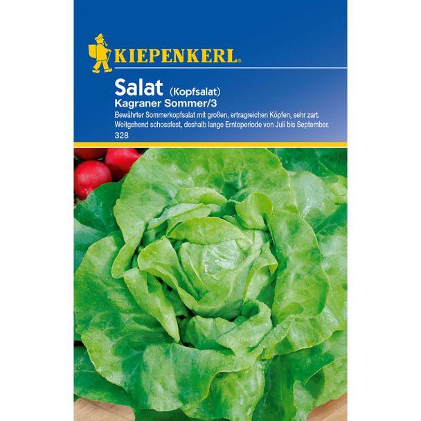 Sommersalat 'Kraganer Sommer 3'