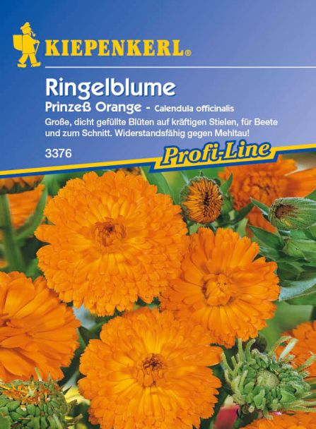 Ringelblume 'Prinzeß Orange'