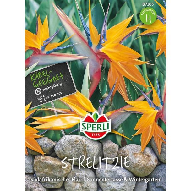 Strelitzie