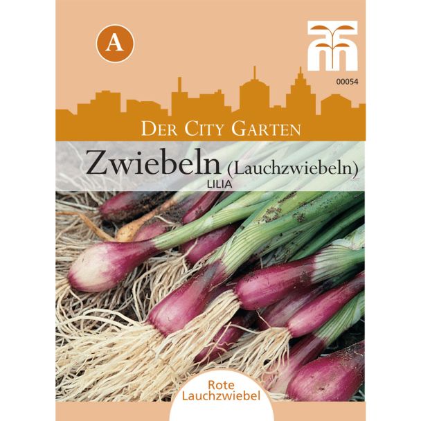 Zwiebeln (Lauchzwiebeln) Lilia