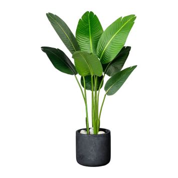 Kunstpflanze Strelitzia nicolai (ca. 120 cm)