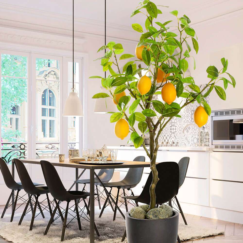 monstera dünger hausmittel Zimmerpflanzen Dünger, Monstera Dünger, 6 Monate Depotwirkung – PlantMe