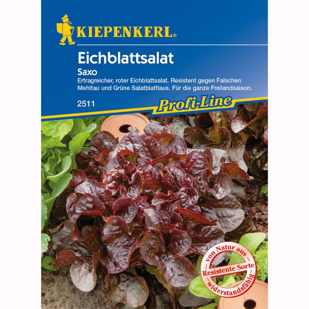 Kiepenkerl Eichblattsalat Saxo