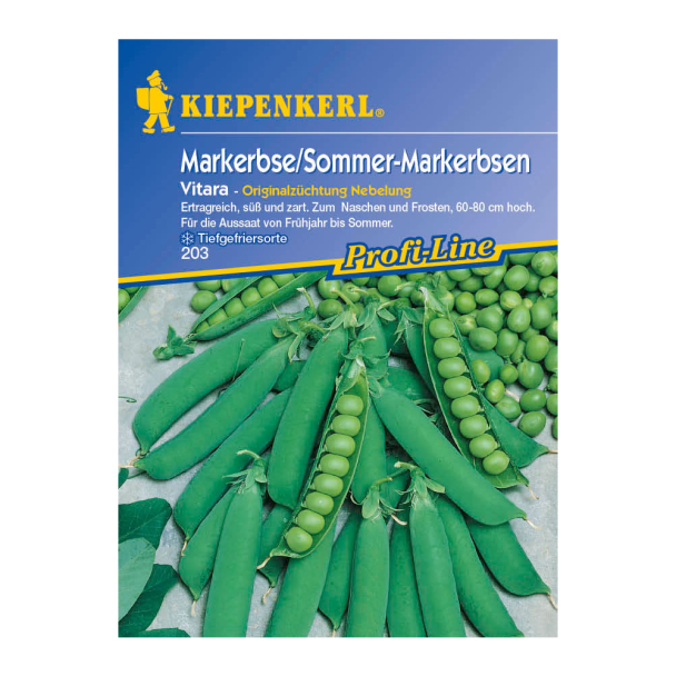 Markerbse / Sommer-Markerbsen 'Vitara'