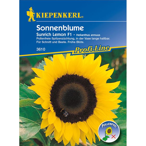 Sonnenblume 'Sunrich Lemon' F1