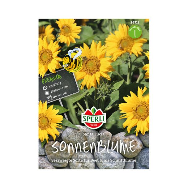 Sonnenblume 'Santa Lucia'