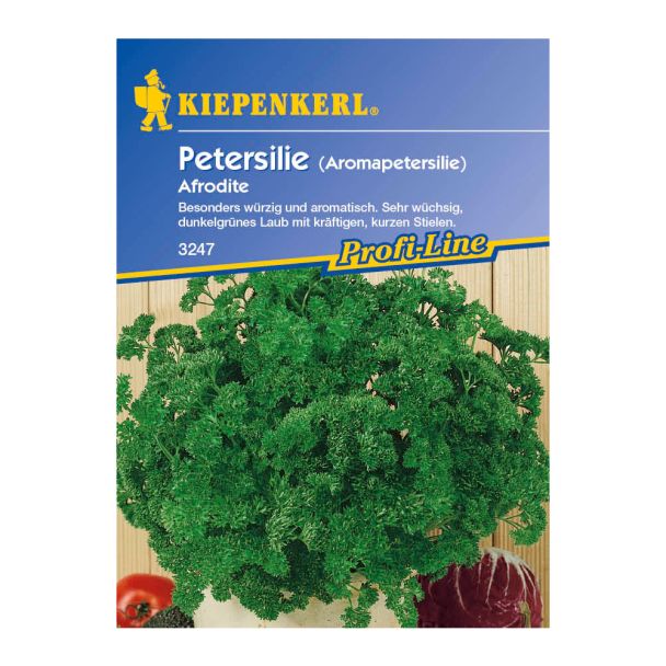 Petersilie 'Afrodite'