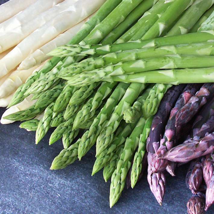 Delikatess-Grnspargel kaufen | Ahrens+Sieberz - Pflanzenversand &  Gartenbedarf