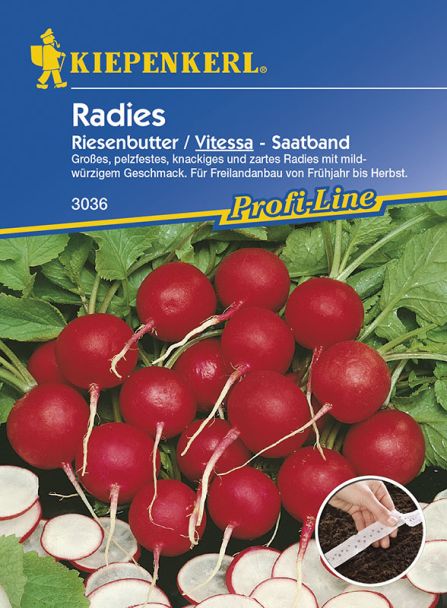 Radies 'Riesenbutter/Vitessa' (Saatband)