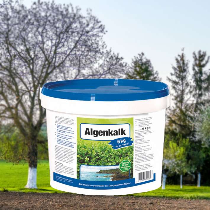 Algenkalk 6 kg (1 kg /  3,33) | Dnger | Pflanzerden & Dnger | Zubehr |  Ahrens+Sieberz - Pflanzenversand & Gartenbedarf
