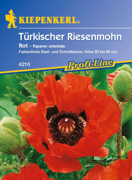Türkischer 'Riesenmohn rot'