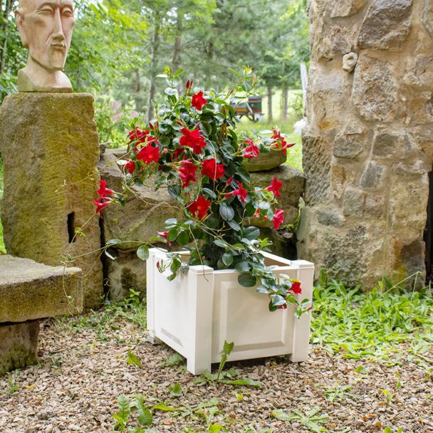 Pflanzkasten quadratisch in Weiß