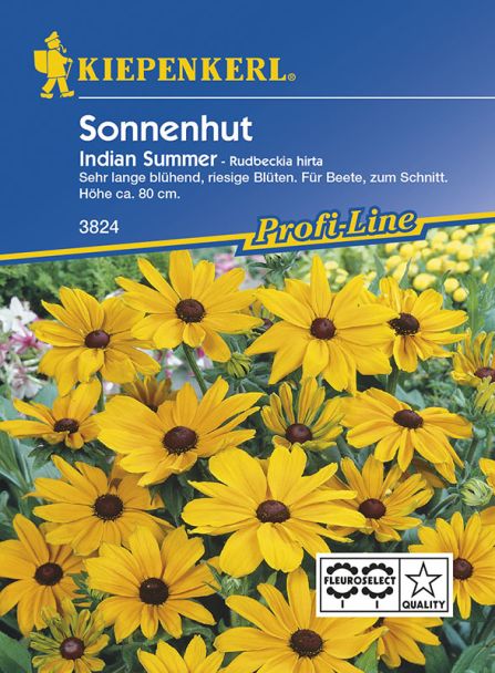 Sonnenhut 'Indian Summer'