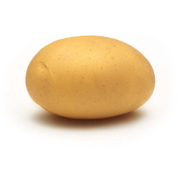 Pflanzkartoffeln Almonda, Mittelfrüh, 2,5 kg (1 kg / € 3,60)