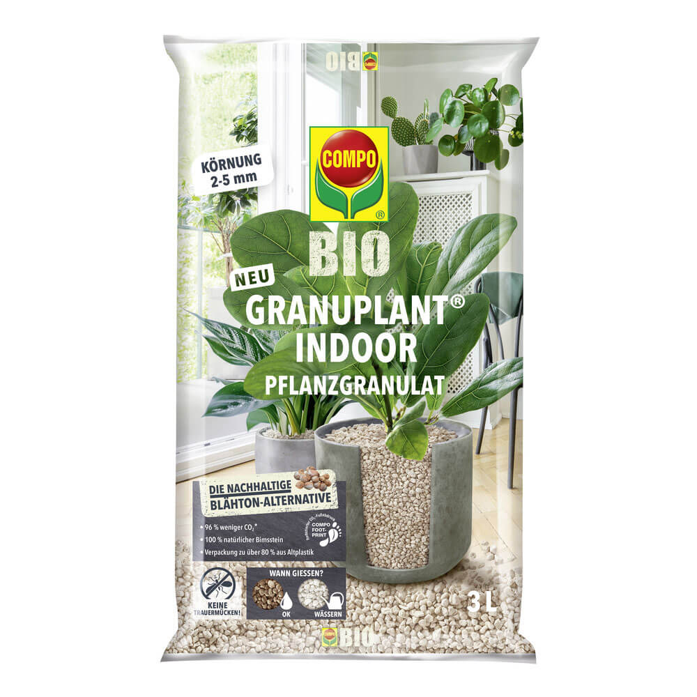 spaghettikrbis saatgut Bio-Jungpflanze Spaghetti-Krbis Filamento  Gemsezeit Altluneberg GbR