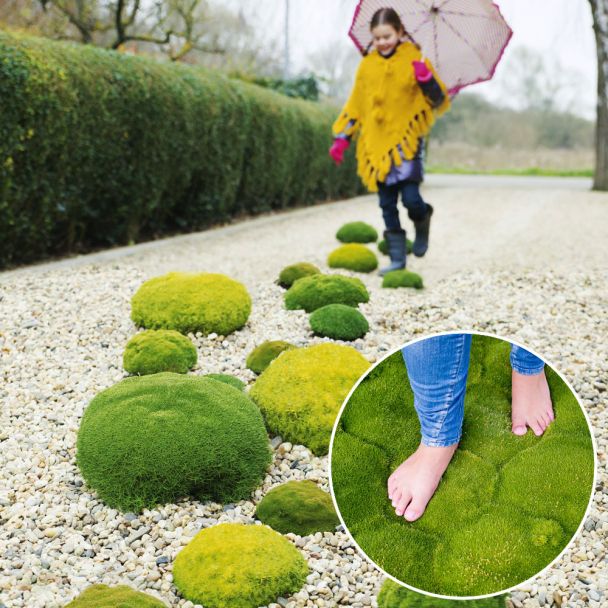 Match Moss 'Forest Green®'