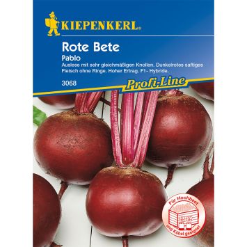 Rote Bete Pablo (F1 Hybride)