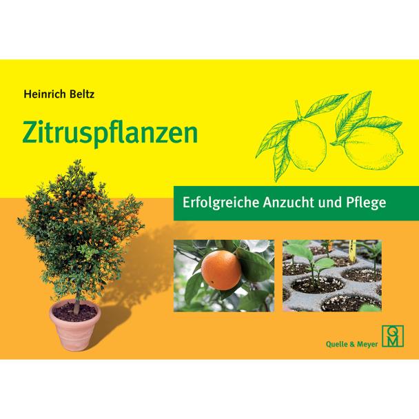 Zitruspflanzen - Erfolgreiche Anzucht und Pflege