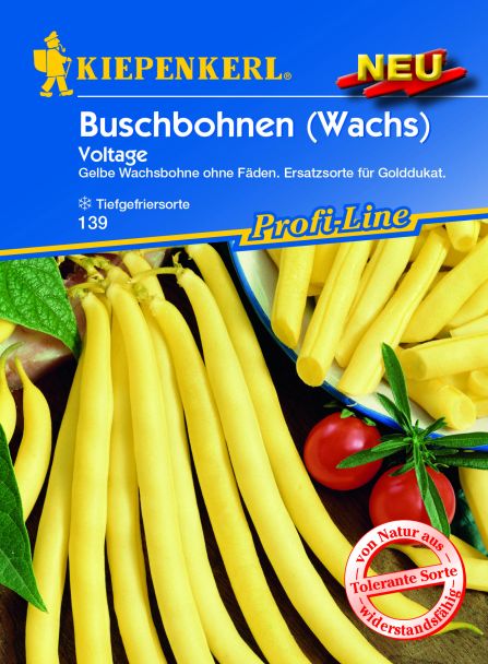 Buschbohne Voltage (gelbhülsig)