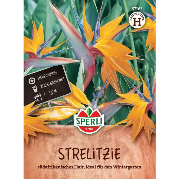 Strelitzie