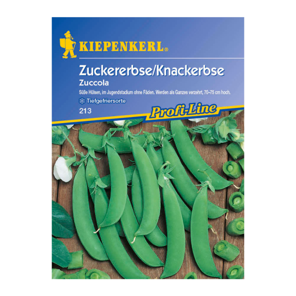 Zuckererbse / Knackerbse 'Zuccola'