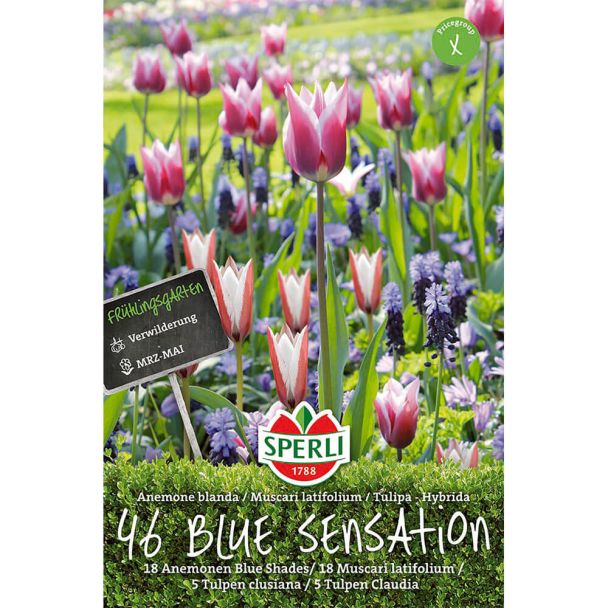 Frühlingsgarten Blue Sensation - Mischung