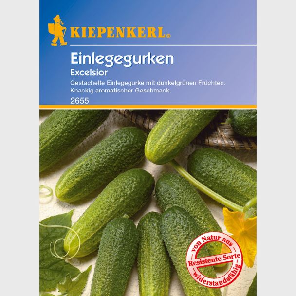 Einlege- / Essiggurke 'Excelsior' F1