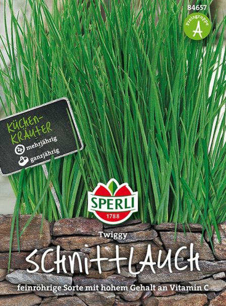 Schnittlauch 'Twiggy'