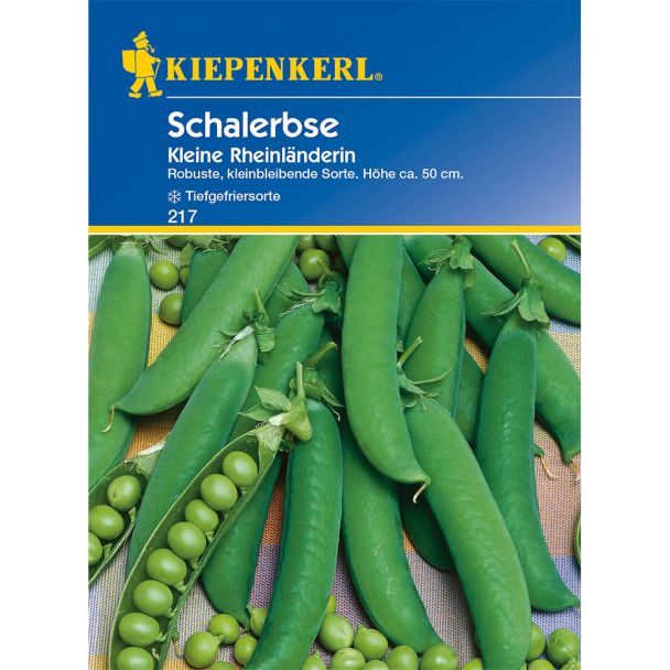 Schalerbsen 'Kleine Rheinländerin'