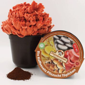 BIO Rosenseitling Kaffeesatz-Set