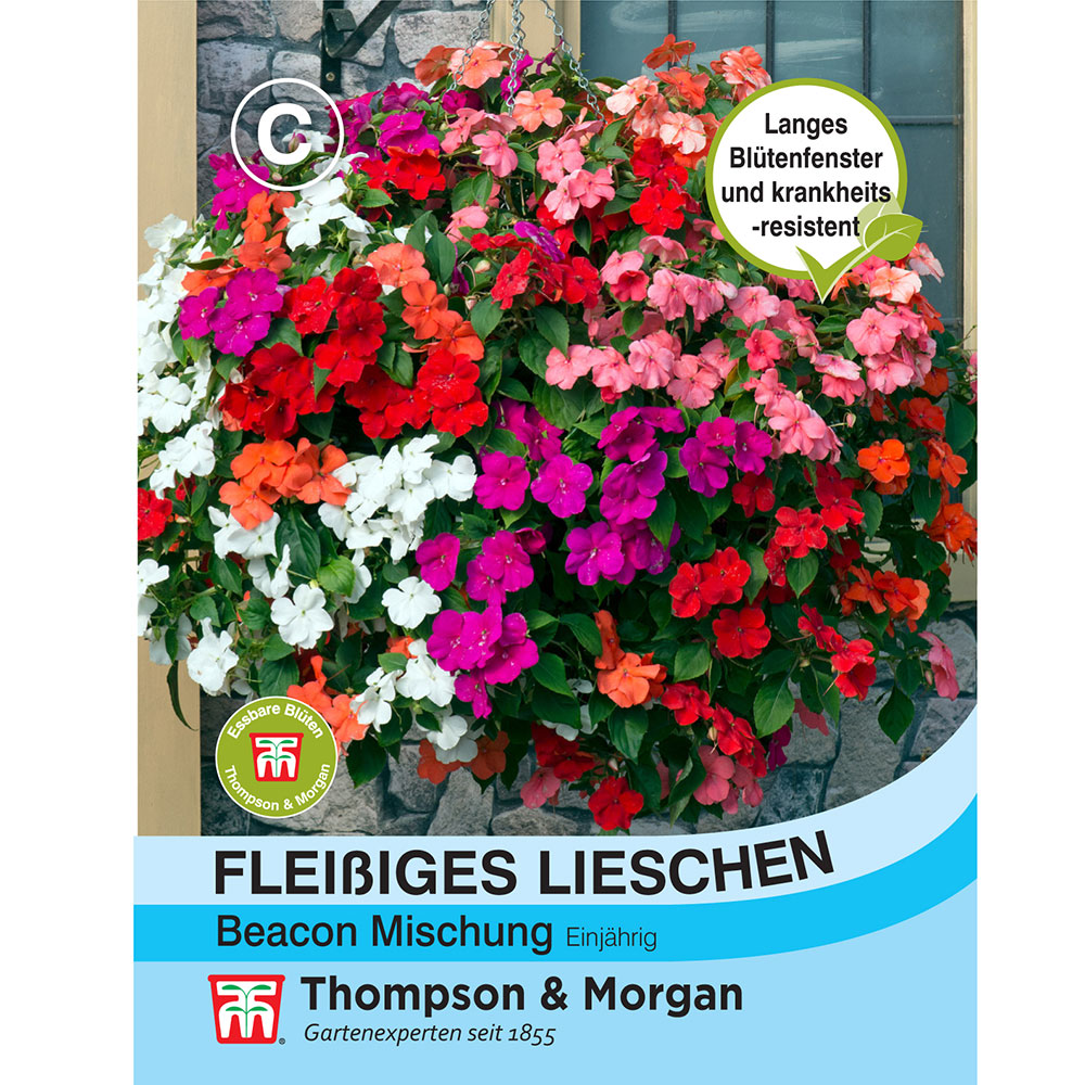 Fleißiges Lieschen Beacon Mischung kaufen Ahrens+Sieberz