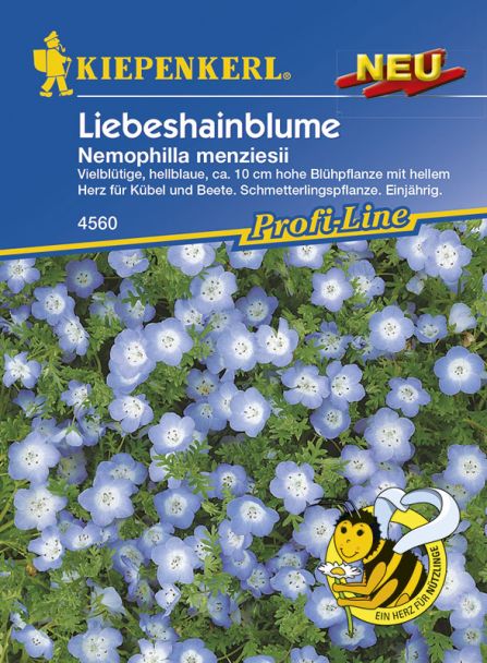 Liebeshainblume