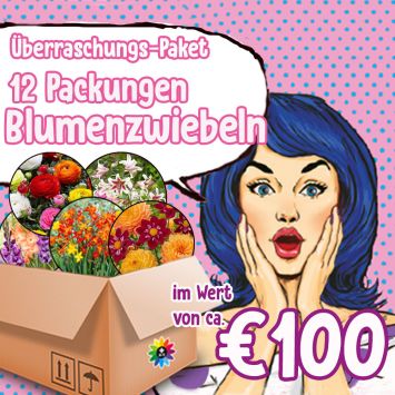 Überraschungspaket Blumenzwiebeln