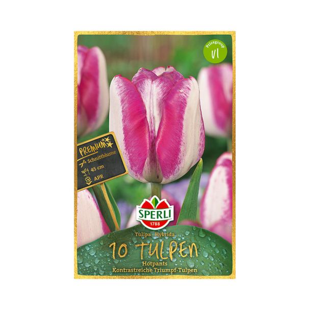 Triumph Tulpen Hotpants