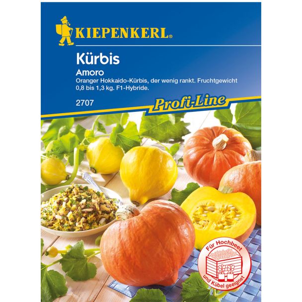 Kürbis 'Amoro'