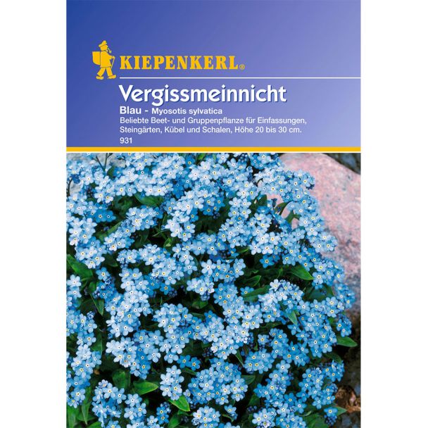 Vergissmeinnicht 'Blau'