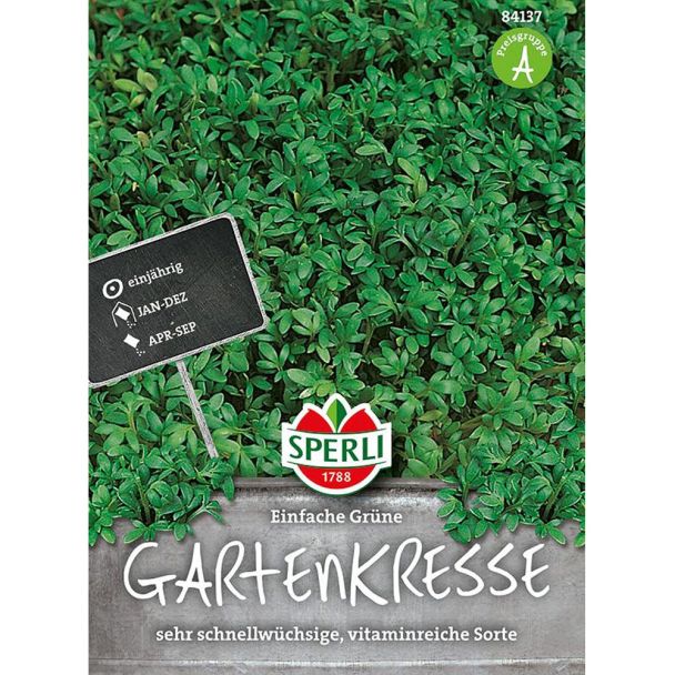 Gartenkresse 'Einfache Grüne'