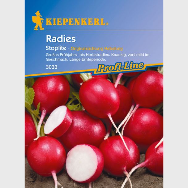 Radies 'Stoplite'