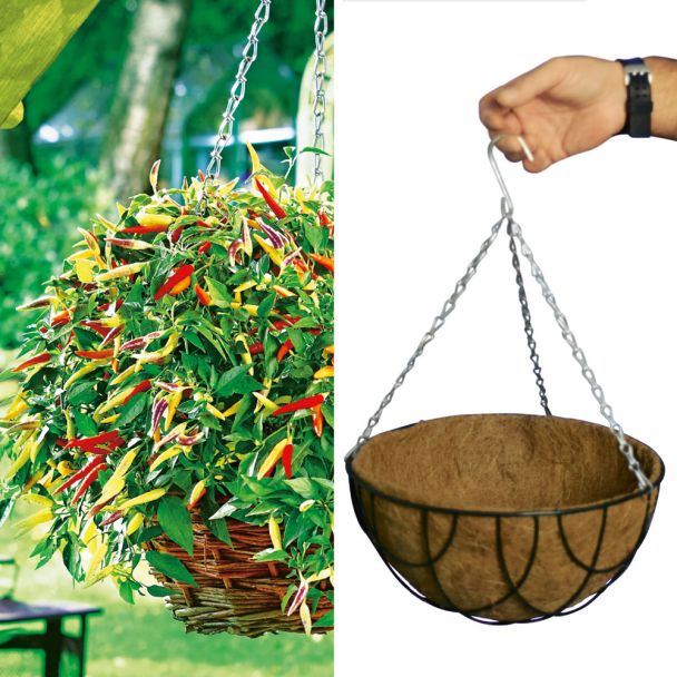 Set-Preis: 2 Volante® Hot Red + 1 Natur-Hänge-Ampel