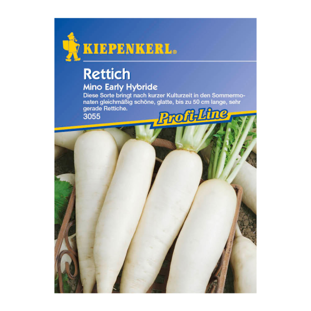 Rettich 'Mino Early Hybride'
