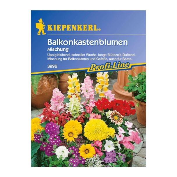 Balkonkastenblumen 'Mischung'
