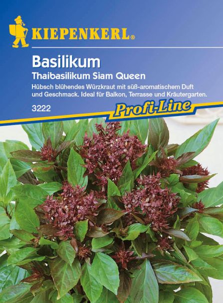Basilikum 'Thaibasilikum Siam Queen'