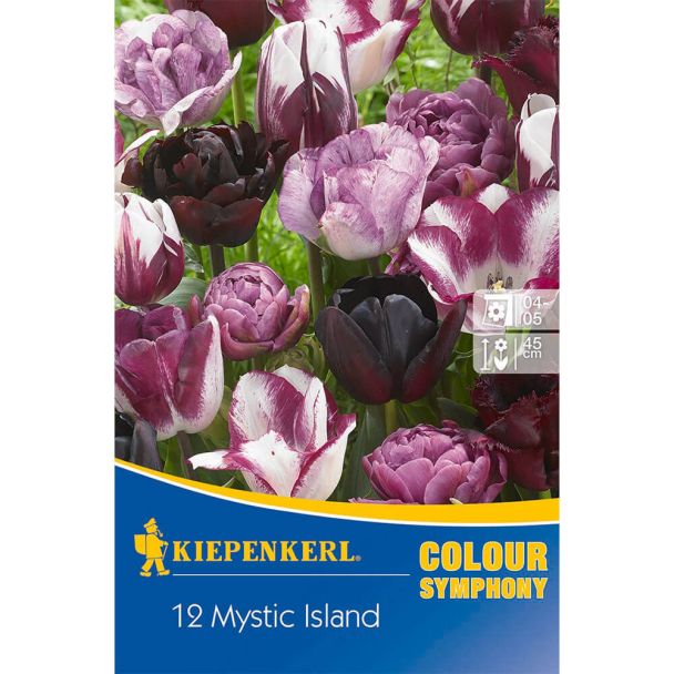 Kiepenkerl Colour Symphony Mystic Island