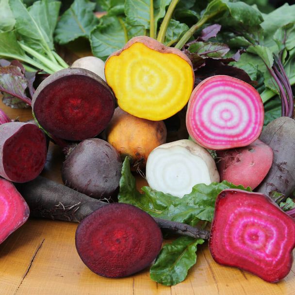 Bunte Beete