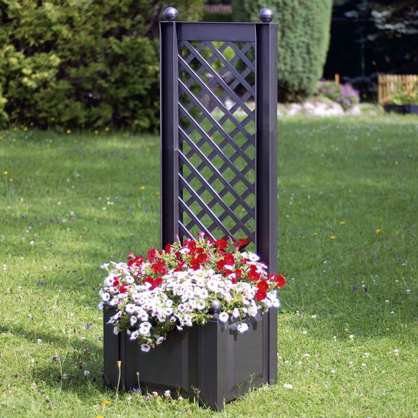 Pflanzkasten mit Spalier, 43 cm Anthrazit