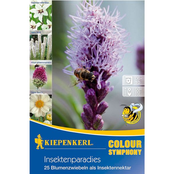 Insektenparadies