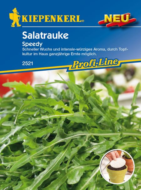 Salatrauke 'Speedy' (Saatscheiben)